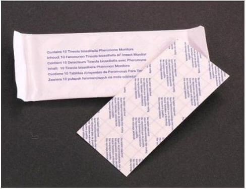 Clothes Moth Trap Παγίδα για Σκόρο με Κολλητική Επιφάνεια
