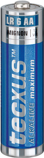 Tecxus Maximum Αλκαλικές Μπαταρίες AA 1.5V 4τμχ