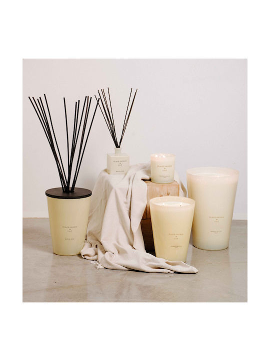 Cereria Molla Aromatisches Kerze in Gefäß mit Duft Black Orchid & Lily 230g