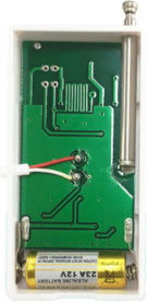 SmartWise RF flood sensor (eWeLink-compatible)