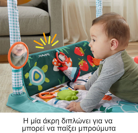 Fisher Price Activity Gym Playhouse for Newborns