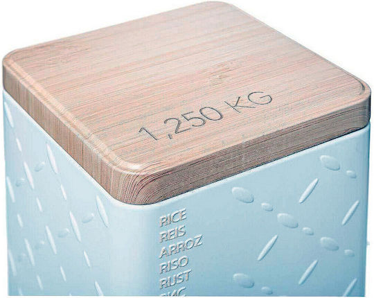 Nature Box General Use with Lid Metallic White 10x10x18.5cm