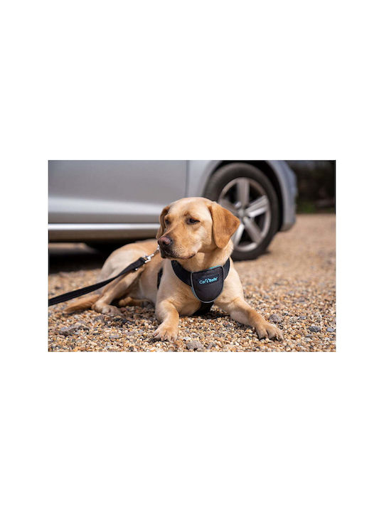 Company of Animals Σαμαράκι Σκύλου Γιλέκο CarSafe Μαύρο Medium S6103615
