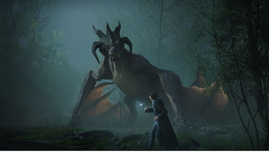 Hogwarts Legacy Switch Game