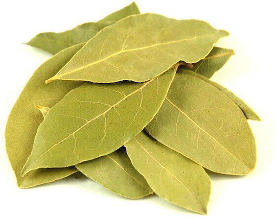 MPACHARADIKO Laurel Chios leaves 103744-100GR 100gr