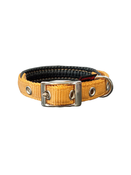 Pet Interest Neoprene Standard Pet Interest Neoprene Standard
