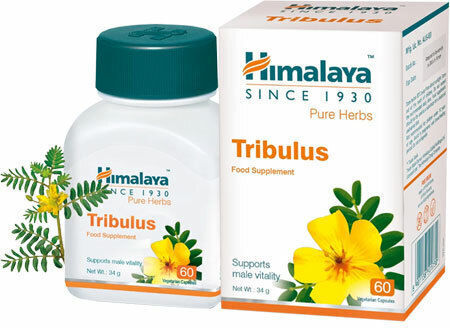 Himalaya Wellness Gokshura Men's Welness 60 ταμπλέτες