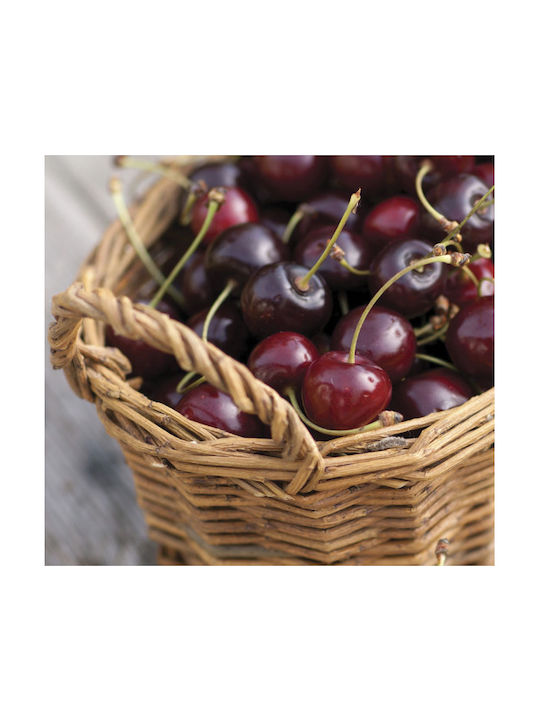 Heart & Home Aromatic Soy Candle In Jar With Black Cherry Sweets Perfume 340gr