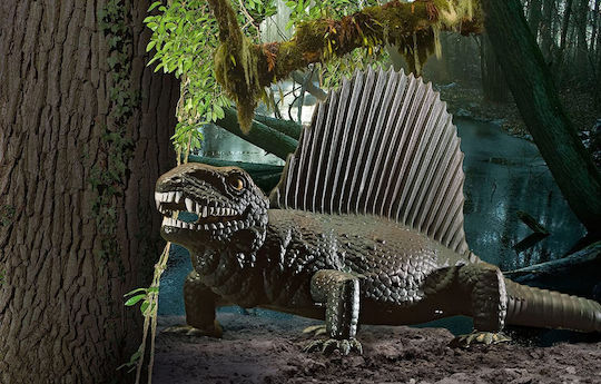 Revell Φιγούρα Μοντελισμού Dimetrodon 31 Κομματιών σε Κλίμακα 1:13 με Κόλλα και Χρώματα 32.6x25εκ.