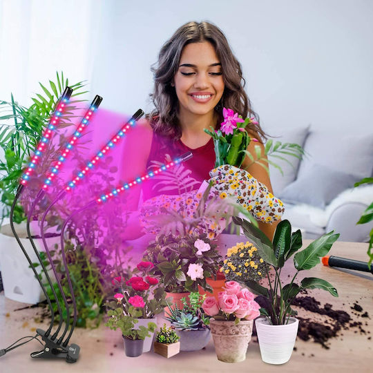 Desk Grow Light with 80 LED