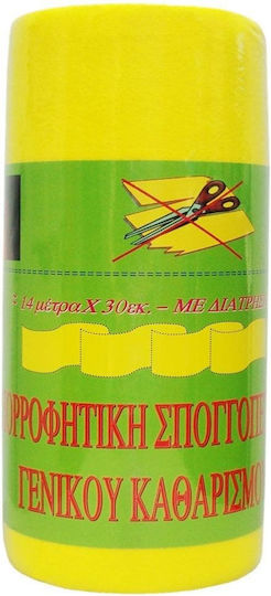 Ready Prosop cu burete Echipament de Curățare Profesională 2buc Absorbant 30cmx14m