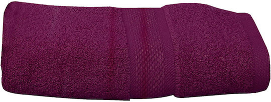 Viopros Pânză de față Luxor 50x100cm. Zmeură Greutate 600gr/m²