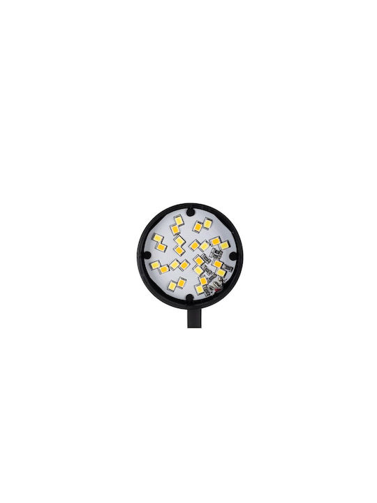 Izoxis LED Office Lamp with Flexible Arm and Clip in Black Color