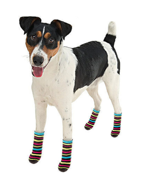 Ferplast Pet Socks Antislip Large Κάλτσες Σκύλου Πολύχρωμα 4τμχ Ferplast Pet Socks Antislip Large Κάλτσες Σκύλου Πολύχρωμα 4τμχ