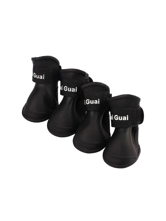 Value Shoes Dog Medium Black 5x4cm in Black Color
