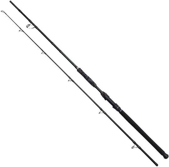 Dam Black Deluxe Fishing Rod for Casting 2.70m 100-250gr