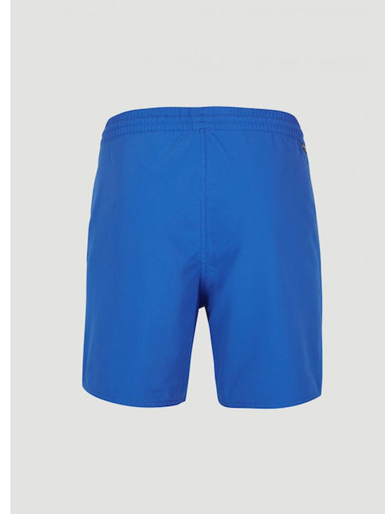Men's Swimwear Shorts Blue with Patterns