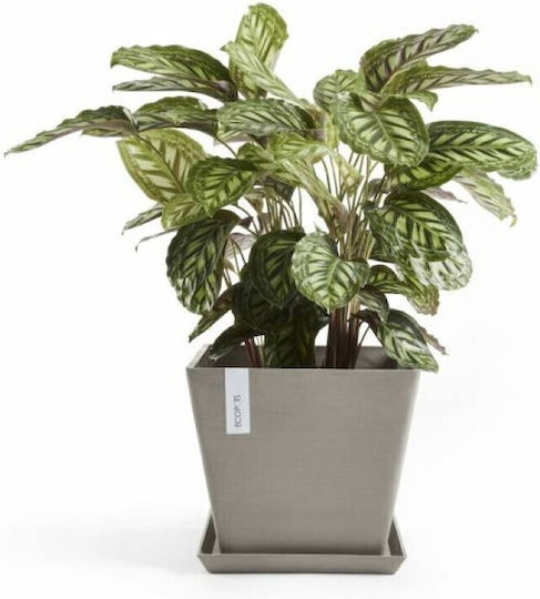 Ecopots Rotterdam Blumentopf Kunststoff Taupe Ecopots Rotterdam Blumentopf Kunststoff Taupe