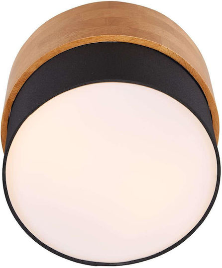Trio Lighting Seasons Plafonieră 30buc Trio Lighting Seasons Plafonieră 30buc
