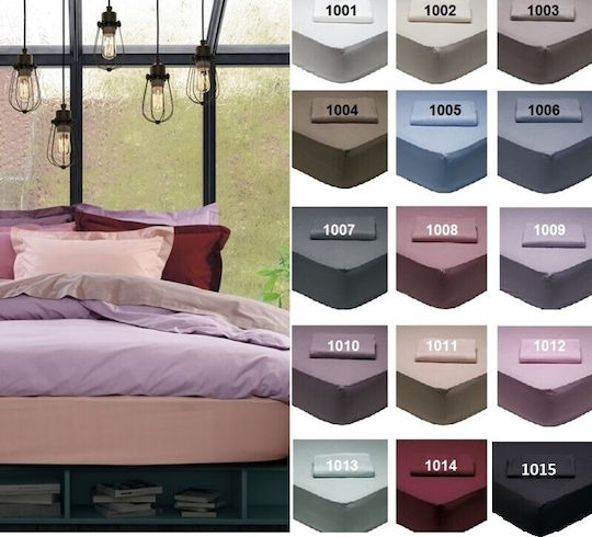 Das Home Sheet Super-Double with Elastic 170x200+35cm. Best 1011 Somon