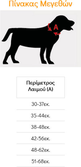 Pet Interest Εκπαιδευτικό Small 35-44cm