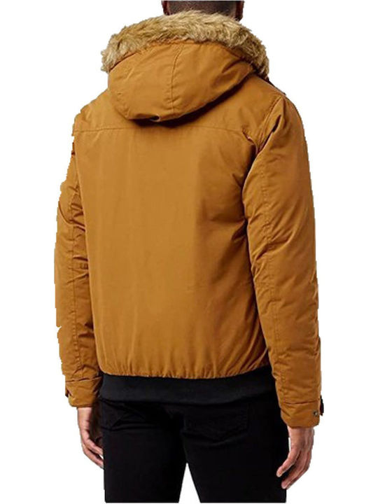 Winter Jacket Parka Brown