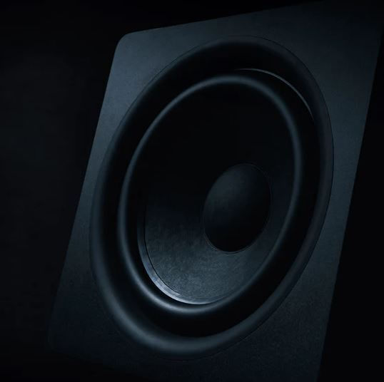 Argon Audio Bass10 MKII Autoîntăritor Subwoofer cu Difuzor 10" 100W Negru