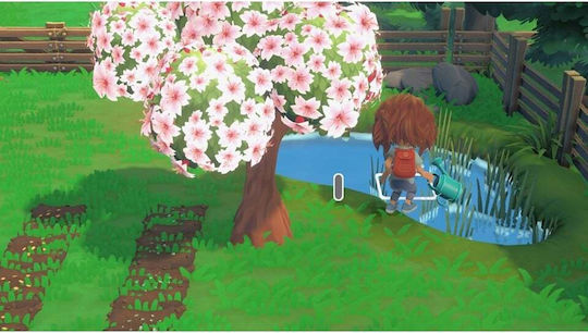 Hokko Life Switch Game