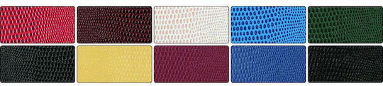 Folia Χαρτόνι Snake 10 Φύλλα 23x33εκ.