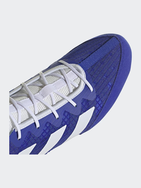 adidas Box Hog 4 Boxing Shoes Blue