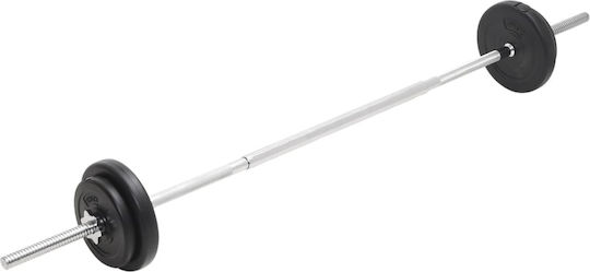 vidaXL Αλτήρες Σετ με Μπάρα Συνολικού Βάρους 30kg