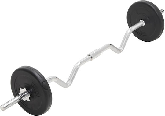 vidaXL Αλτήρες Σετ με Μπάρα Συνολικού Βάρους 30kg