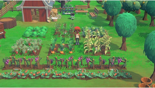 Hokko Life PS4 Game