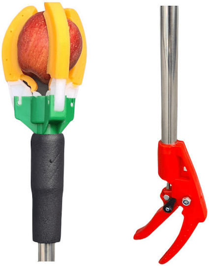 Fruit Collector 170cm