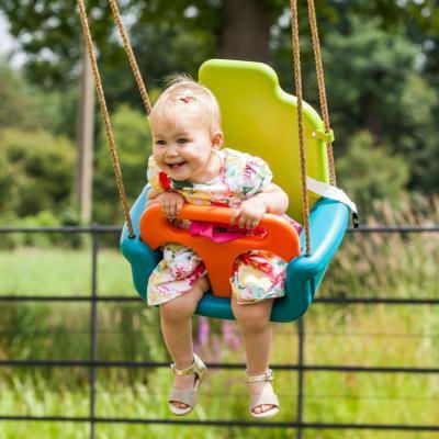 Showood Plastic with Protector and Seatbelt Swing Multicolour