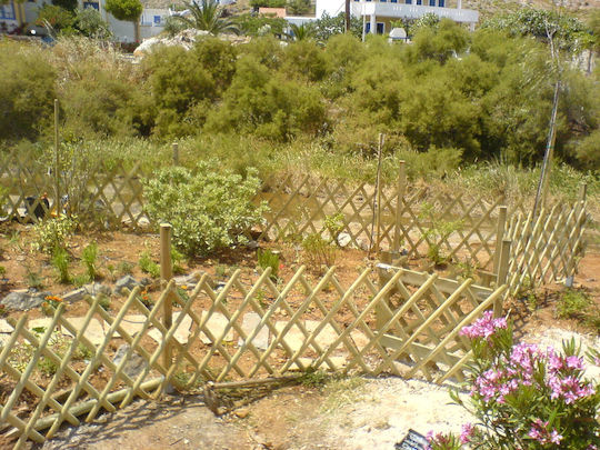 Πτυσσόμενο Καφασωτό Κήπου από Ξύλο με Πλέγμα Ρόμβου σε Μπεζ Χρώμα 100x100cm