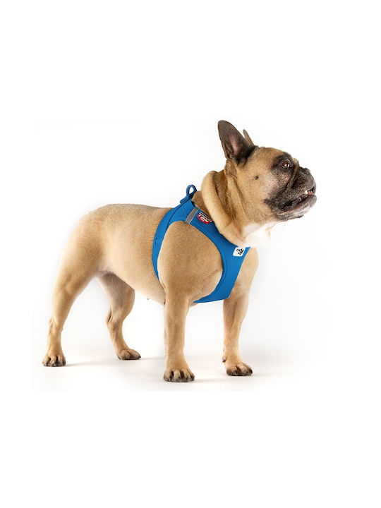 Curli Dog Harness Vest Clasp Air-Mesh Green X-Small 35-40cm PN2824