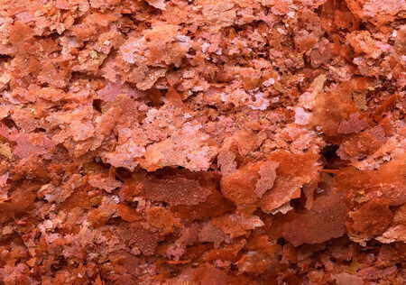Croci Amtra Pro Color Храни за риби Тропически риби на Пластинки 250мл