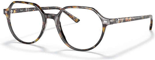Ray Ban Thalia Acetate Frame Brown Tortoise RB5395 8173