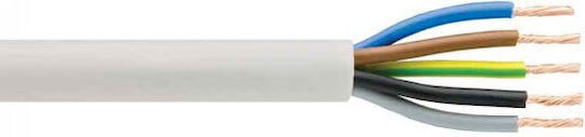 Eurolamp Power Cord With Cable Properties 5x4mm² In White Colour 1m Flexible