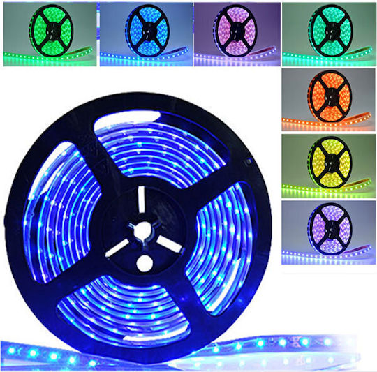 Adeleq LED Strip 24V RGBW Light 5m