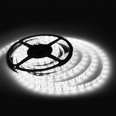 Adeleq Bandă LED Alimentare 12V cu Lumină Alb Rece Lungime 5m și 120 LED-uri pe Metru SMD3528