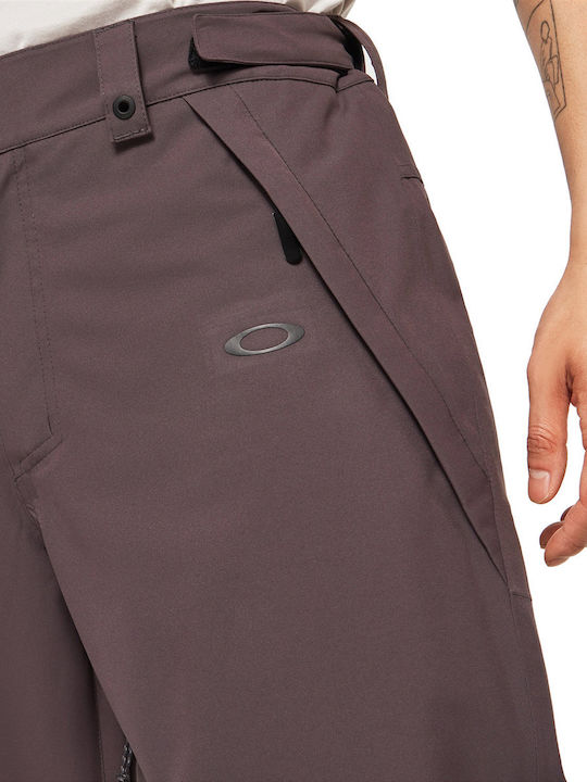 Oakley Best Cedar Rc Insulated FOA403445-24J Pantaloni de schi și snowboard pentru bărbați Ski & Snowboard Gri