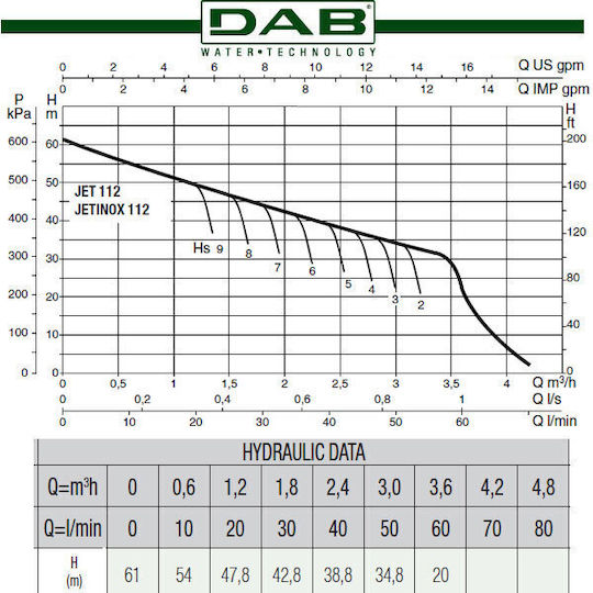 DAB Electric Surface Water Pump Centrifugal with Automatic Suction 1.36hp Single-Phase