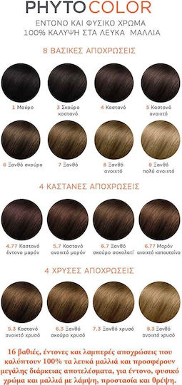 Phyto Phytocolor Βαφή Μαλλιών Χωρίς Αμμωνία 8.0 Ξανθό Ανοιχτό 50ml