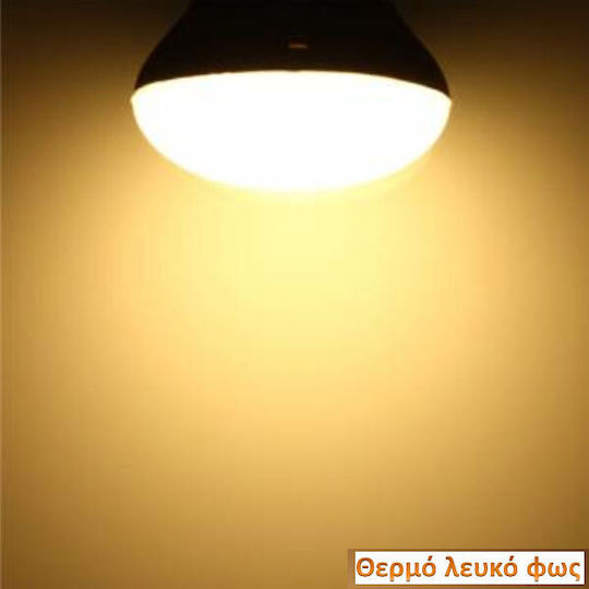Elvhx Λάμπα LED 4.9W 99mm για Ντουί E27 και Σχήμα R63 Θερμό Λευκό 600lm