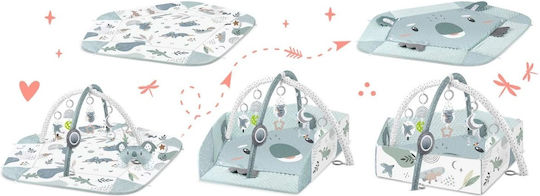 Go Clever Koala Nukido Activity Gym for Newborns
