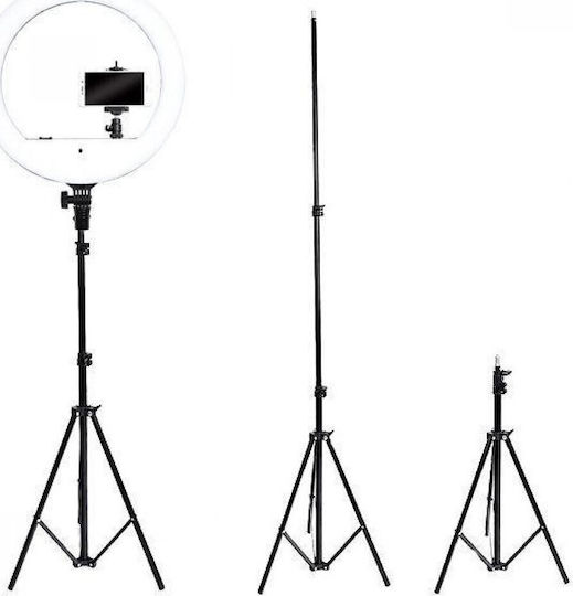 YQ-480B Ring Light 46cm 3000 - 6500K with Floor Tripod and Mobile Phone Holder
