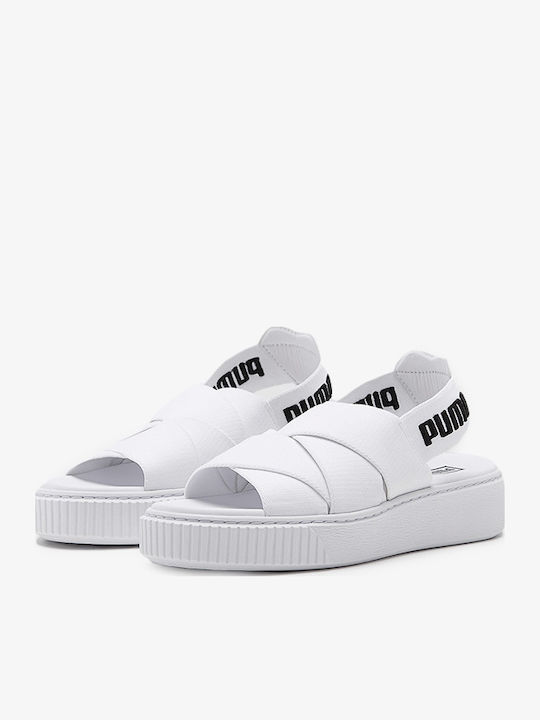 PUMA