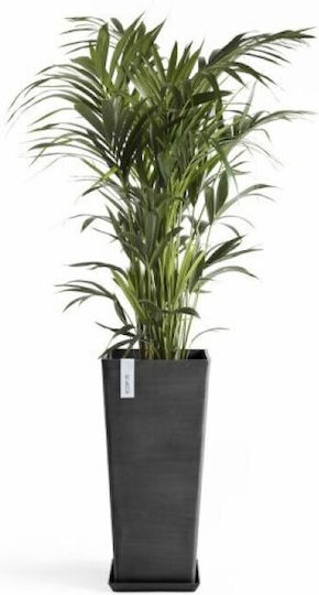 Ecopots Topf Kunststoff Dark Grey 32x32x70cm.